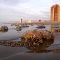 Foto de Arica