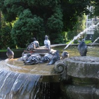Foto de Oviedo