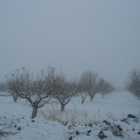 Foto de Sueda