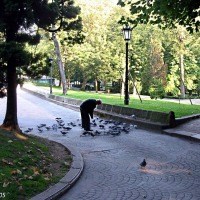 Foto de Oviedo