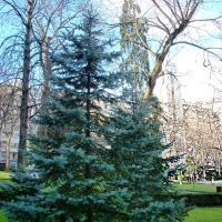 Foto de Oviedo