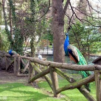 Foto de Oviedo