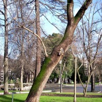 Foto de Oviedo