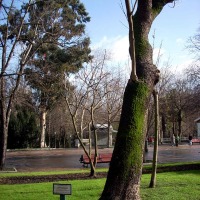 Foto de Oviedo