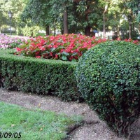 Foto de Oviedo