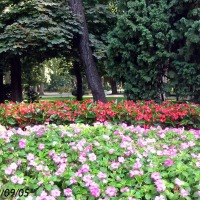 Foto de Oviedo