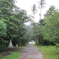 Foto de Isla Gorgona - Dpto. del Cauca