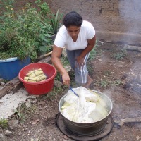 Foto de Campo Dos