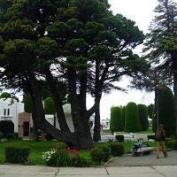 Foto de Punta Arenas