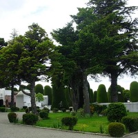 Foto de Punta Arenas