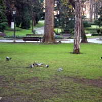 Foto de Oviedo