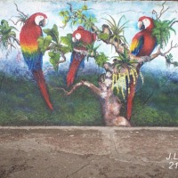 Foto de Tilarán, Guanacaste