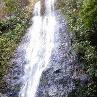 Foto de Buenos Aires, Puntarenas