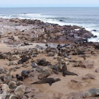 Foto de Hentiesbaai