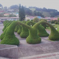 Foto de Zarcero, Alajuela