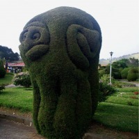 Foto de Zarcero, Alajuela