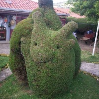 Foto de Zarcero, Alajuela