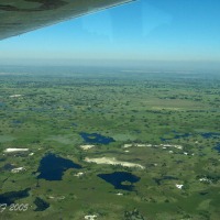 Foto de Maun