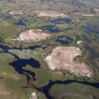 Foto de Maun