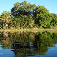 Foto de Maun