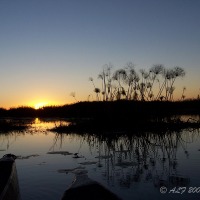 Foto de Maun