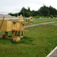 Foto de Punta Arenas