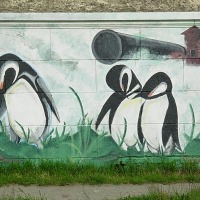 Foto de Punta Arenas