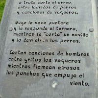 Foto de Punta Arenas