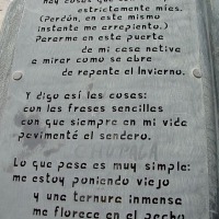 Foto de Punta Arenas