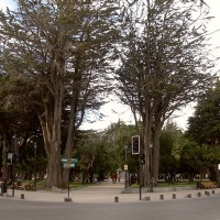 Foto de Punta Arenas