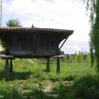 Foto de Lugones