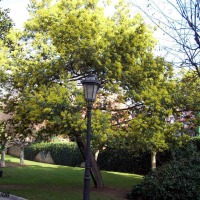 Foto de Oviedo