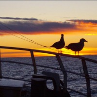 Foto de Alta Mar