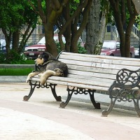 Foto de Punta Arenas