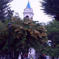 Foto de Punta Arenas