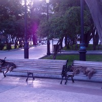 Foto de Punta Arenas