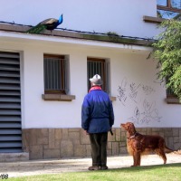Foto de Oviedo
