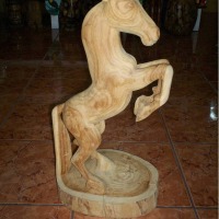 Foto de La Fortuna, San Carlos