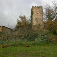Foto de Mogrovejo