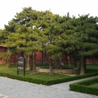 Foto de Beijing