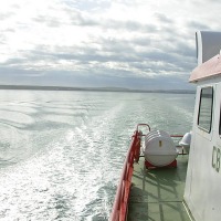 Foto de Puerto Natales