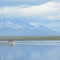 Foto de Puerto Natales