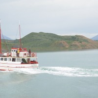 Foto de Puerto Natales