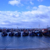 Foto de Punta Arenas