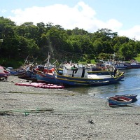 Foto de Punta Arenas