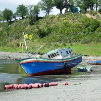 Foto de Punta Arenas
