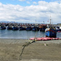 Foto de Punta Arenas