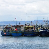Foto de Punta Arenas