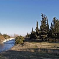 Foto de Alcalá de Gurrea