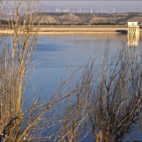 Foto de Alcalá de Gurrea